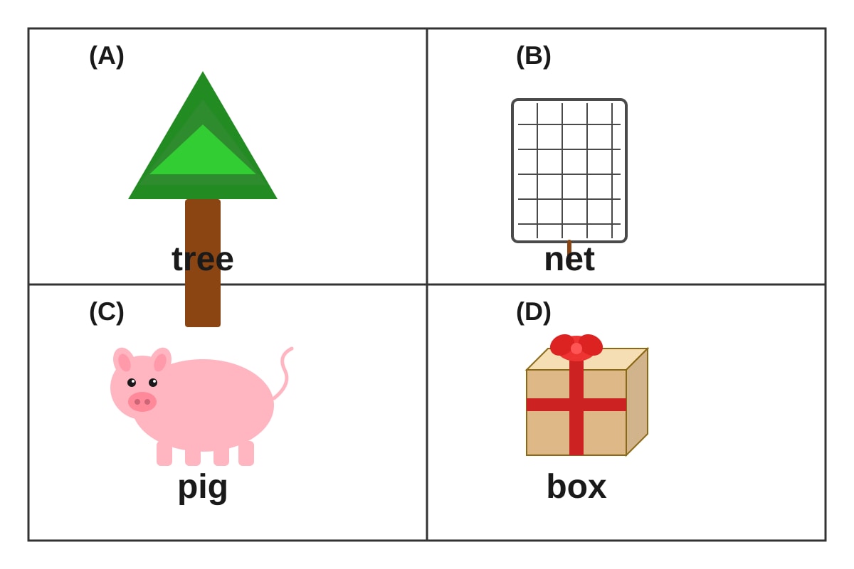 Picture for Q5 (P1 English)