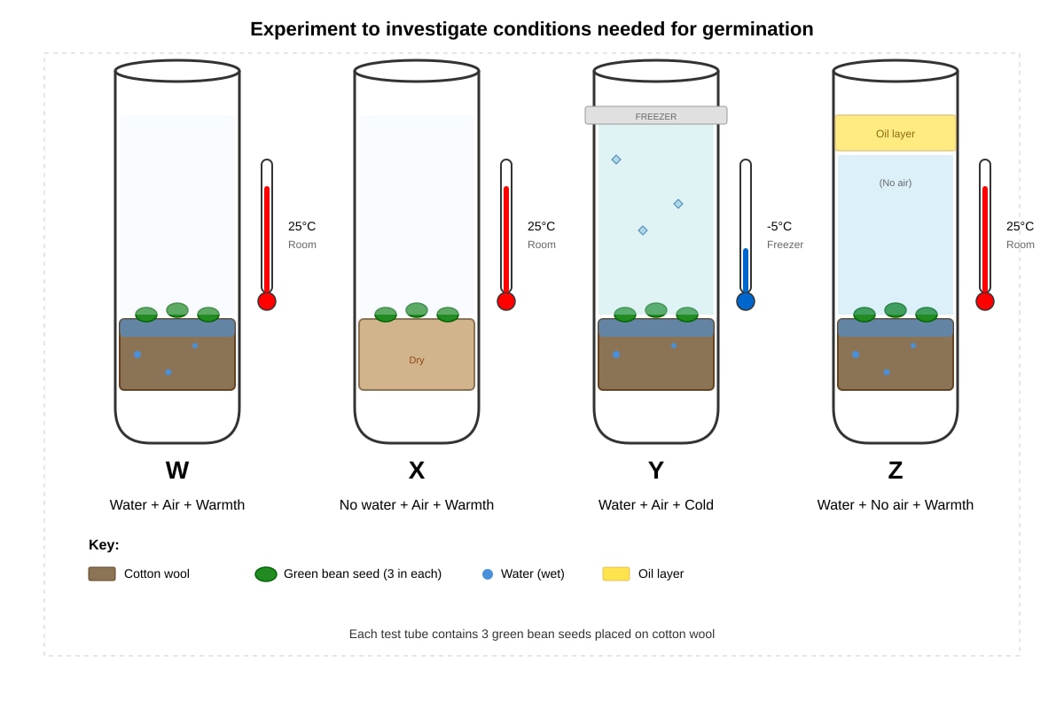 Experimental Setup for Q15 (P5 Science)