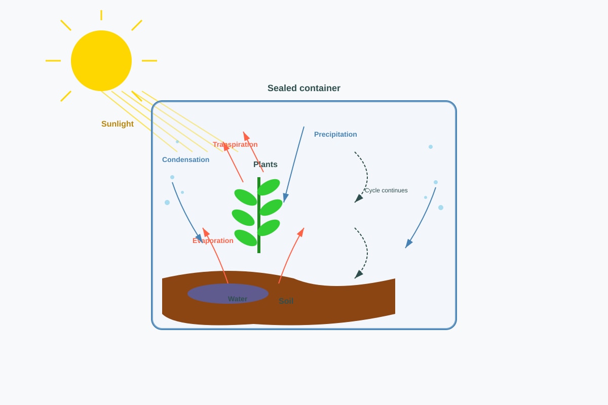Diagram for Q40 (P5 Science)