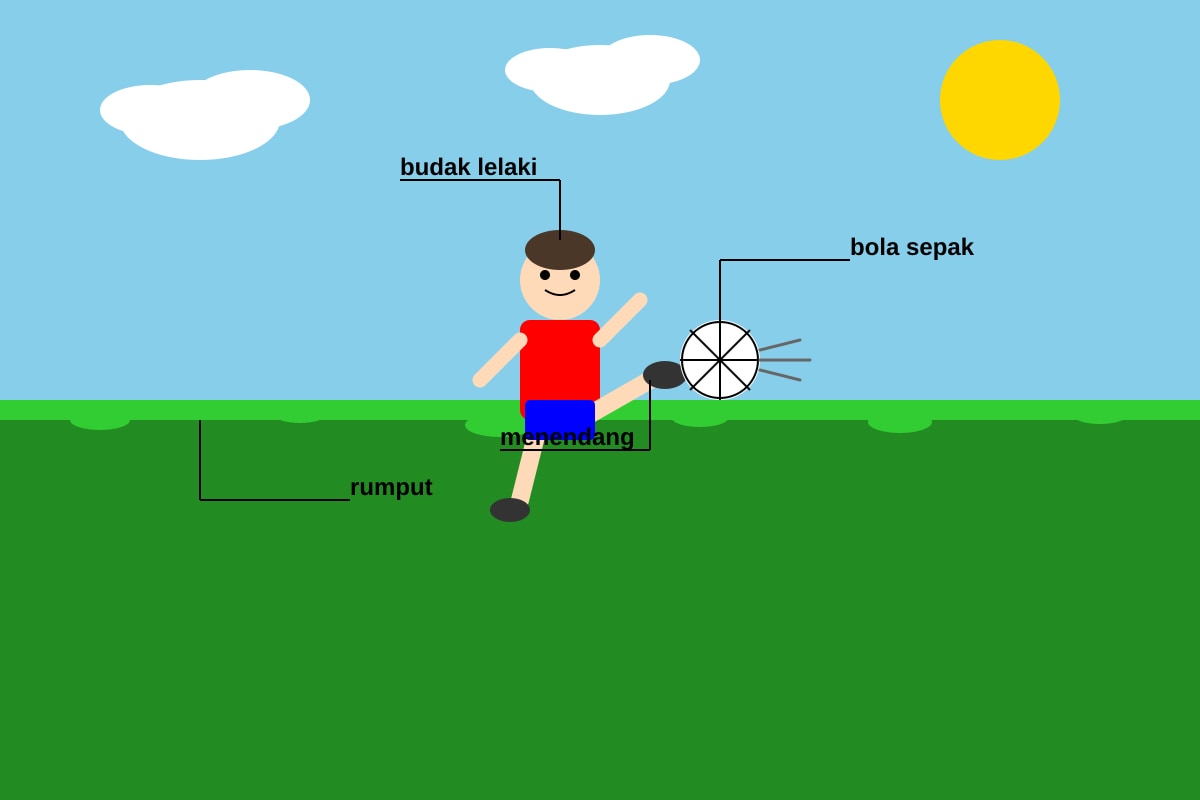 Figure for Q17 (P1 Malay)