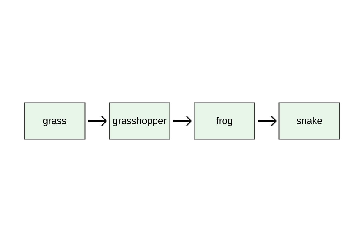 Diagram for Q11 (SEC4 Pure Biology)