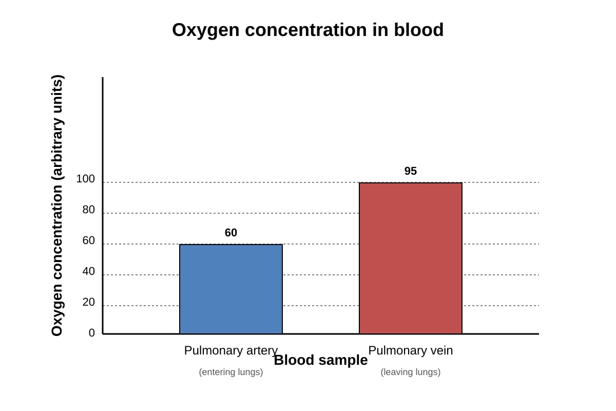 Graph for Q16 (OLEVEL Biology)