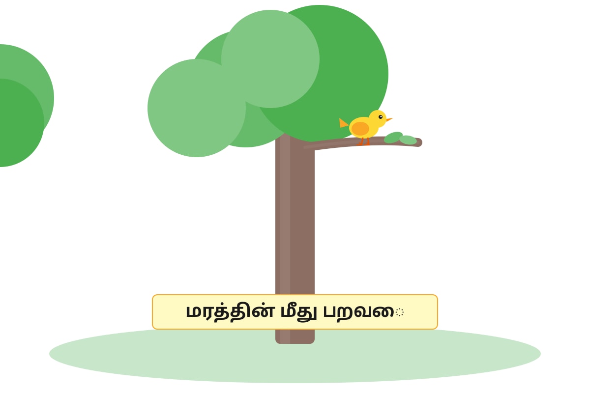 Diagram for Q18 (P1 Tamil)