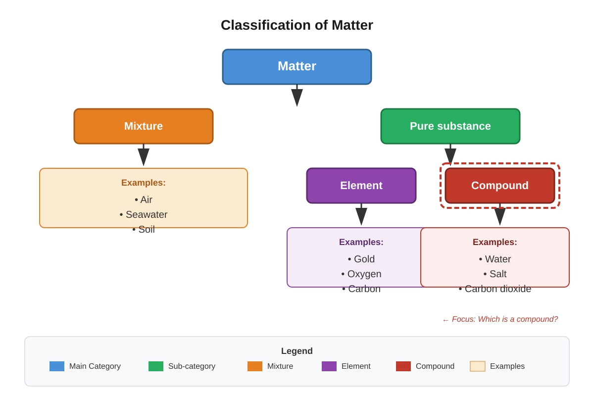 Diagram for Q11 (P6 Science)