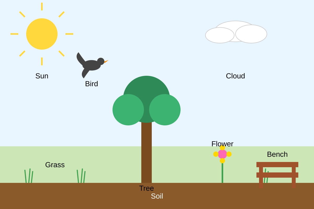 Diagram for Q20 (P4 Science)
