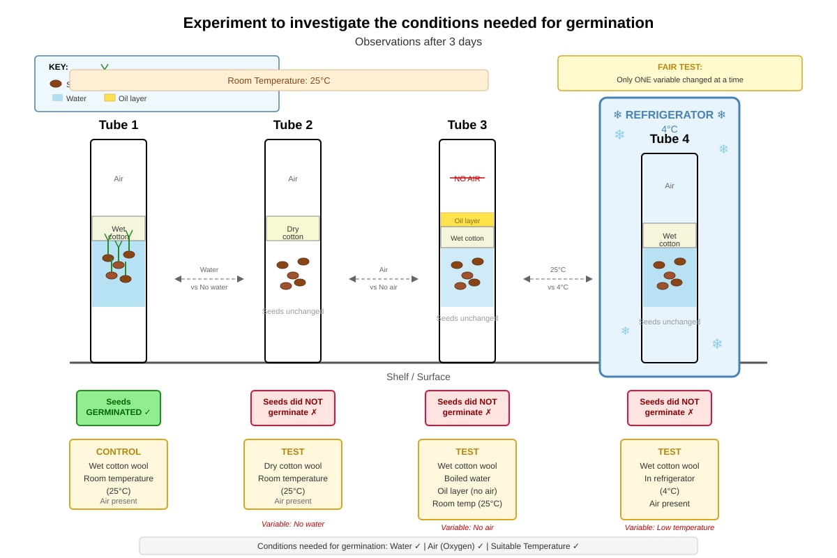 Experimental Setup for Q36 (P5 Science)