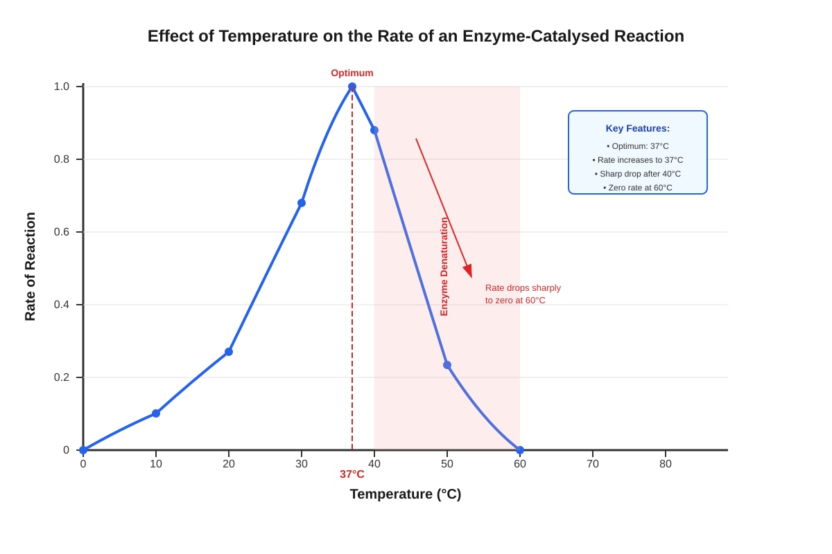 Graph for placeholder 2 (OLEVEL Biology)