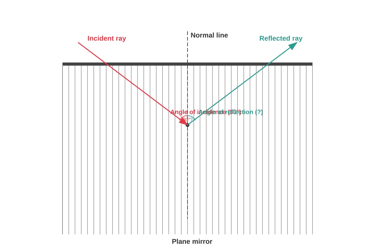 Diagram for Q6 (P6 Science)