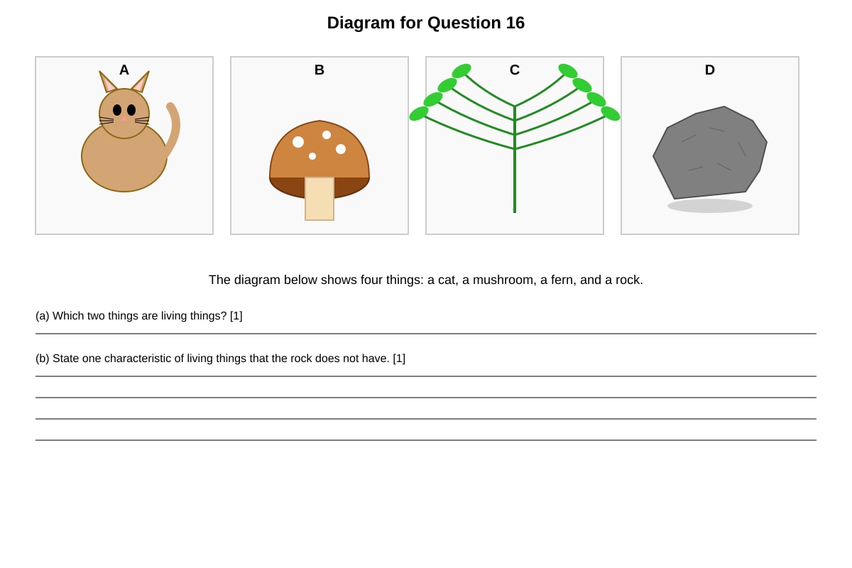 Diagram for Q16 (P4 Science)