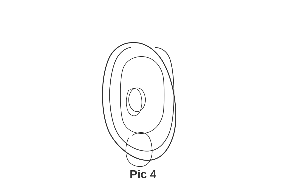 Image for Q6-img4 type: figure linked_question: Q6 description: Outline of a human ear labels: Pic 4 values: none must_show: Clear ear shape (P1 Tamil)