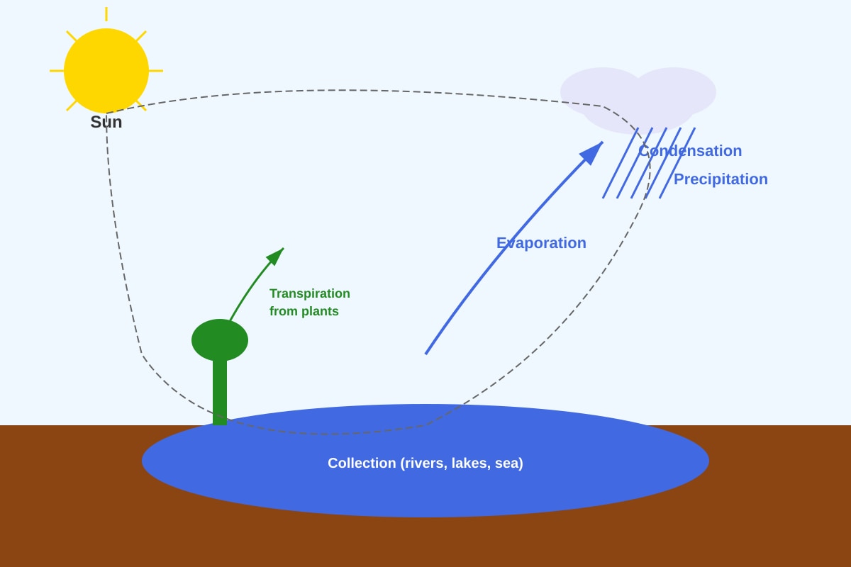 Diagram for Q16 (P6 Science)