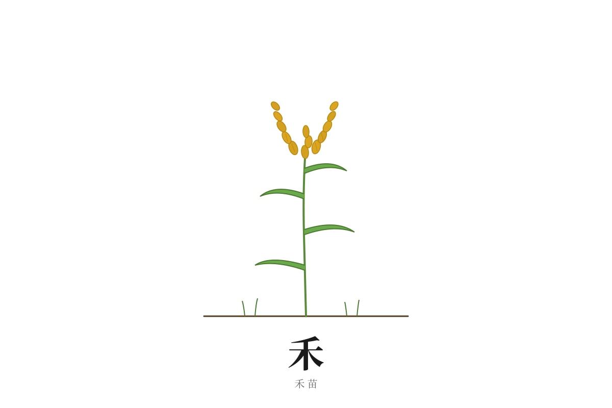 Figure for Q14 (P1 Chinese)