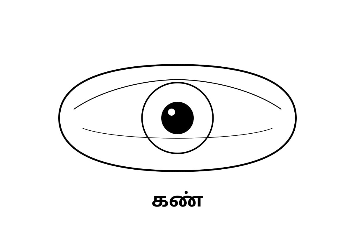 Diagram for Q18 (P1 Tamil)