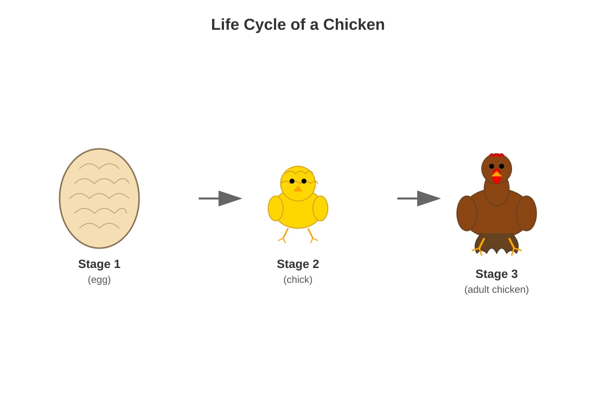 Diagram for Q6 (P3 Science)