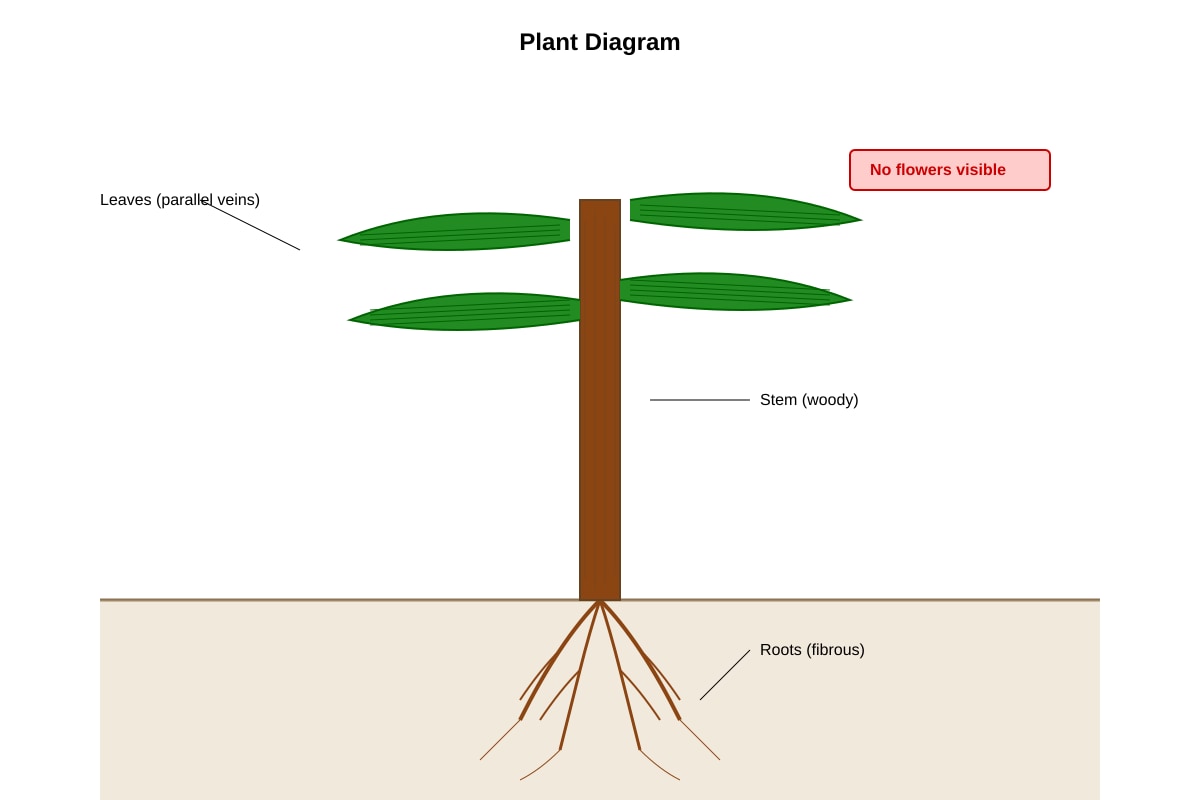 Diagram for Q4 (P5 Science)