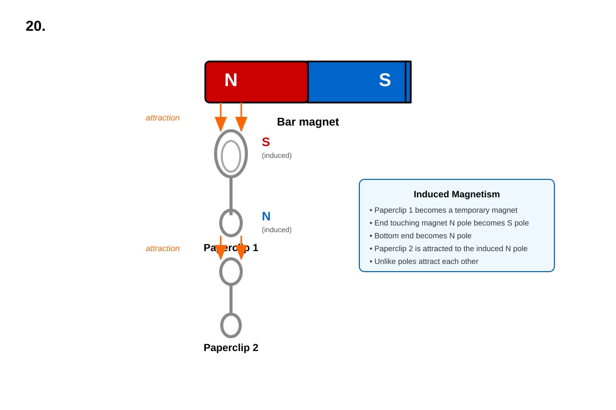 Diagram for Q20 (P5 Science)
