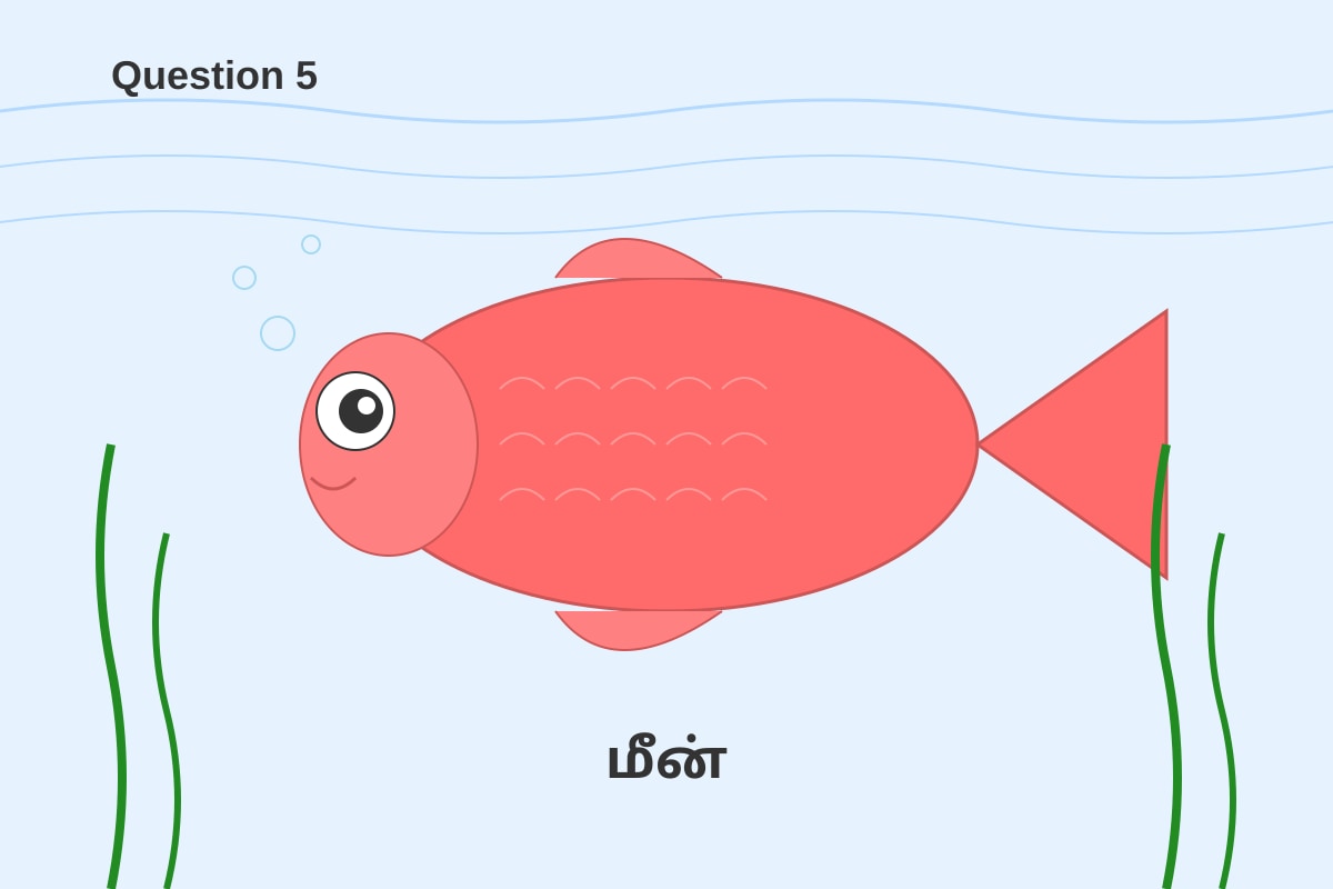 Picture for placeholder 5 (P1 Tamil)