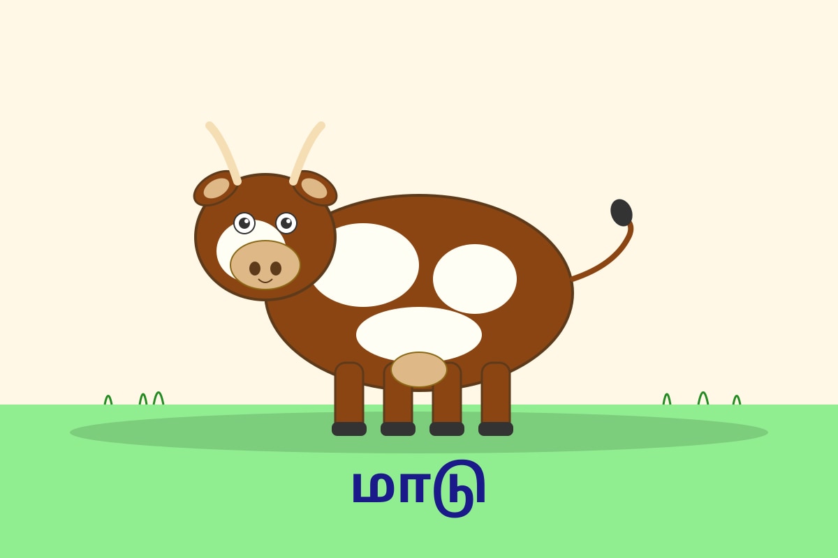 Image for Q8-img3 type: figure linked_question: Q8 description: Picture of a cow labels: மாடு values: N/A must_show: Cow drawing (P1 Tamil)