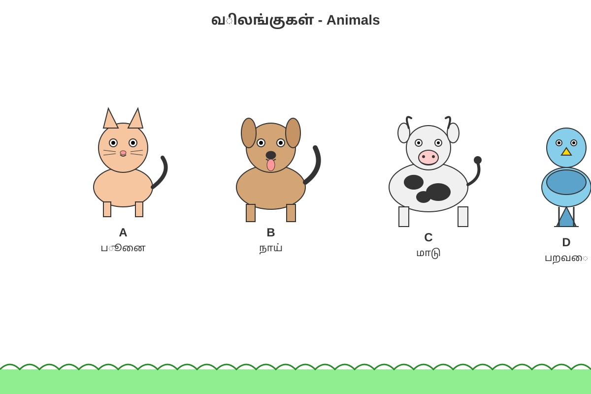 Figure for Q7 (P1 Tamil)