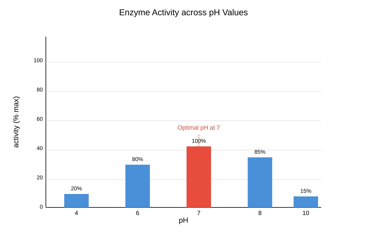 Graph for Q12 (ALEVEL Biology H1)