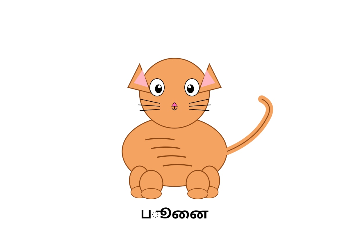 Image for Q8-img1 type: figure linked_question: Q8 description: Picture of a cat labels: பூனை values: N/A must_show: Cat drawing (P1 Tamil)
