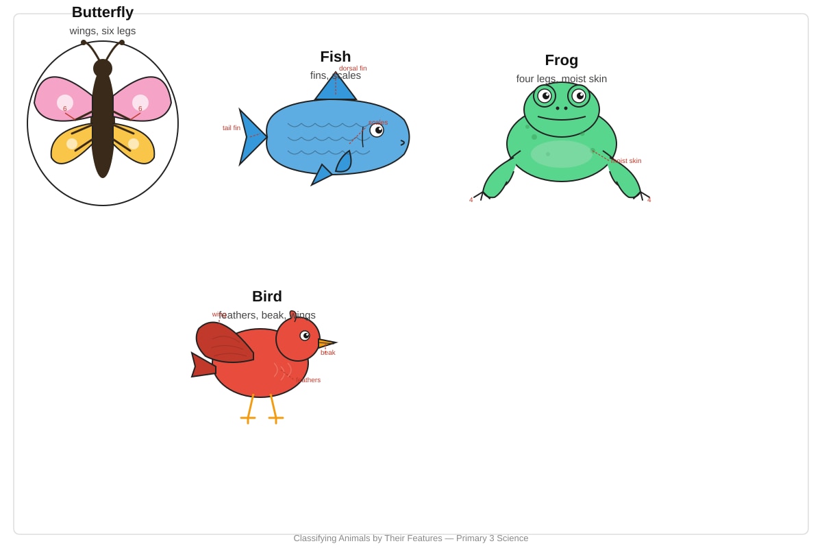 Diagram for Q9 (P3 Science)
