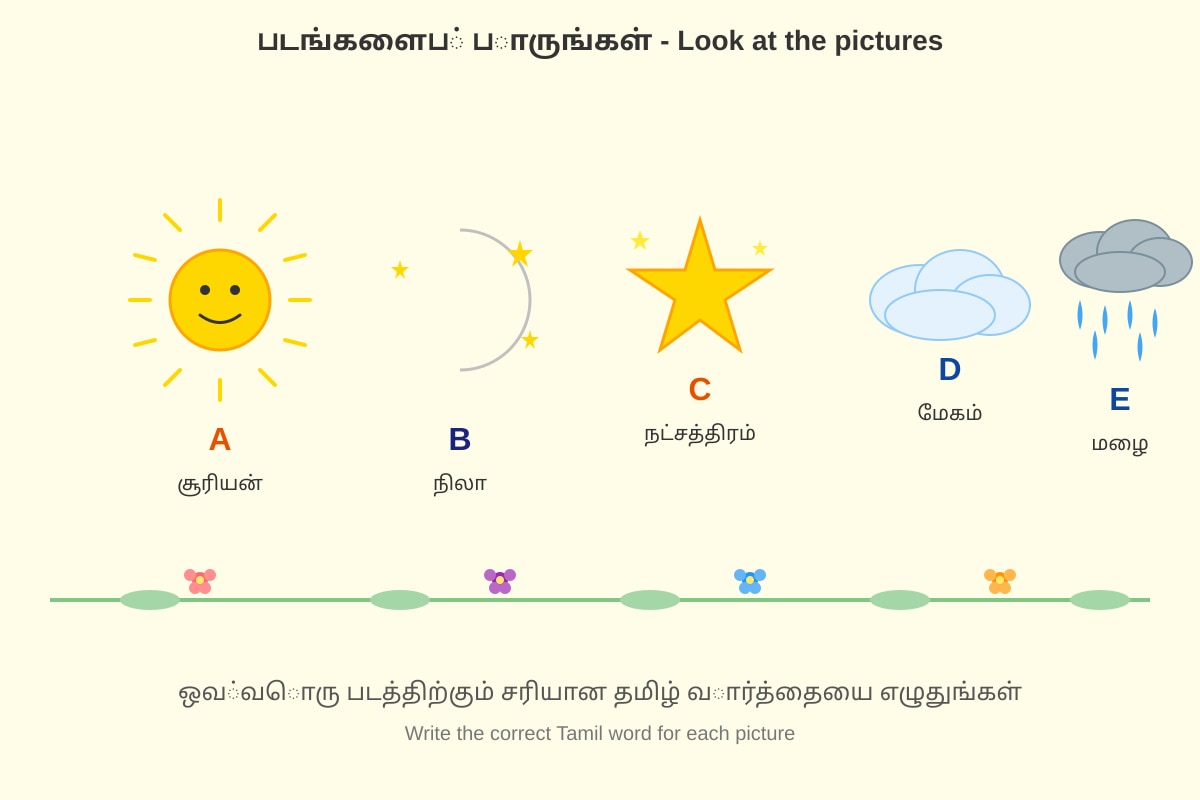 Figure for Q11-Q15 (P2 Tamil)