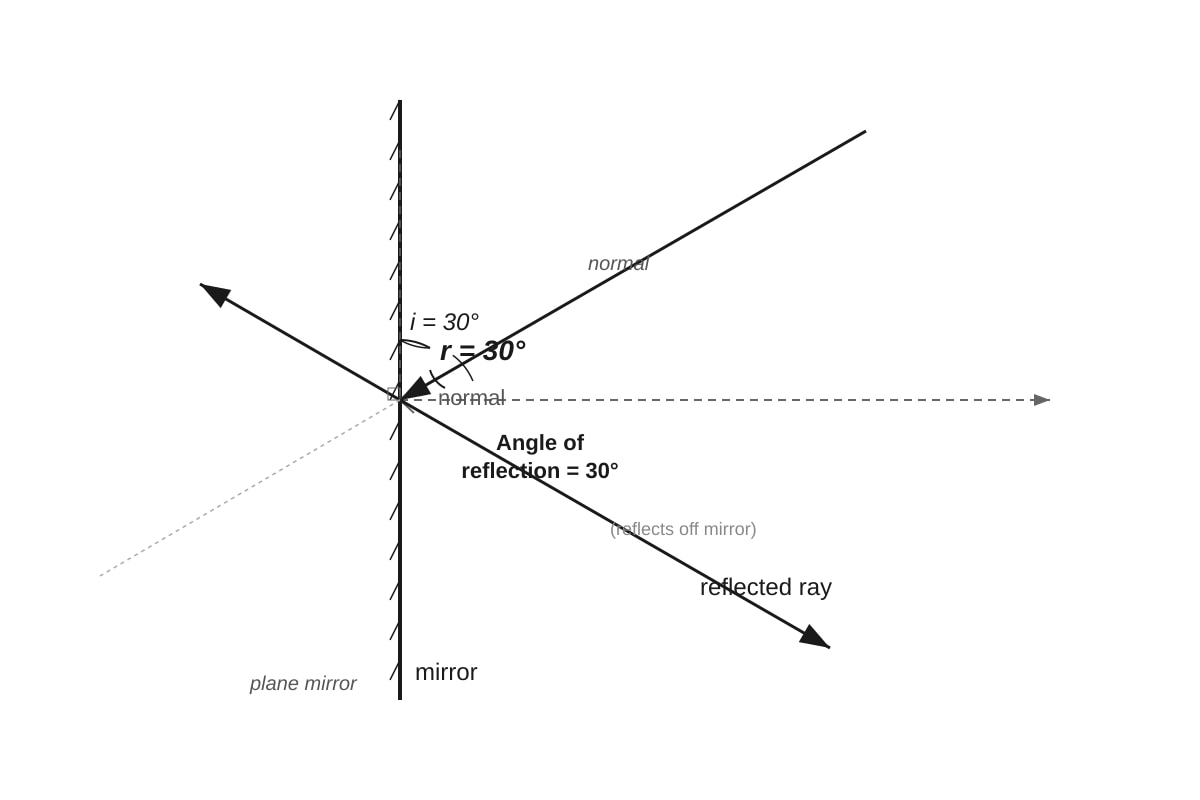 Diagram for placeholder 4 (P4 Science)