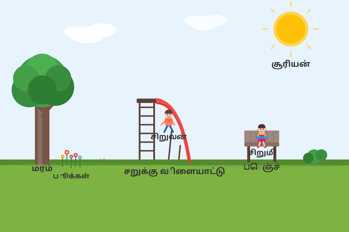 Diagram for Q11 (P3 Tamil)