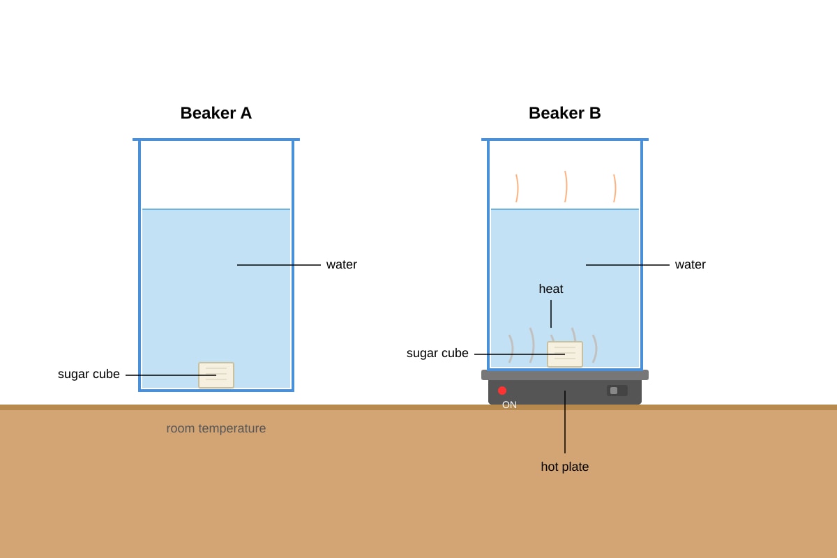 Experimental Setup for Q11 (P6 Science)