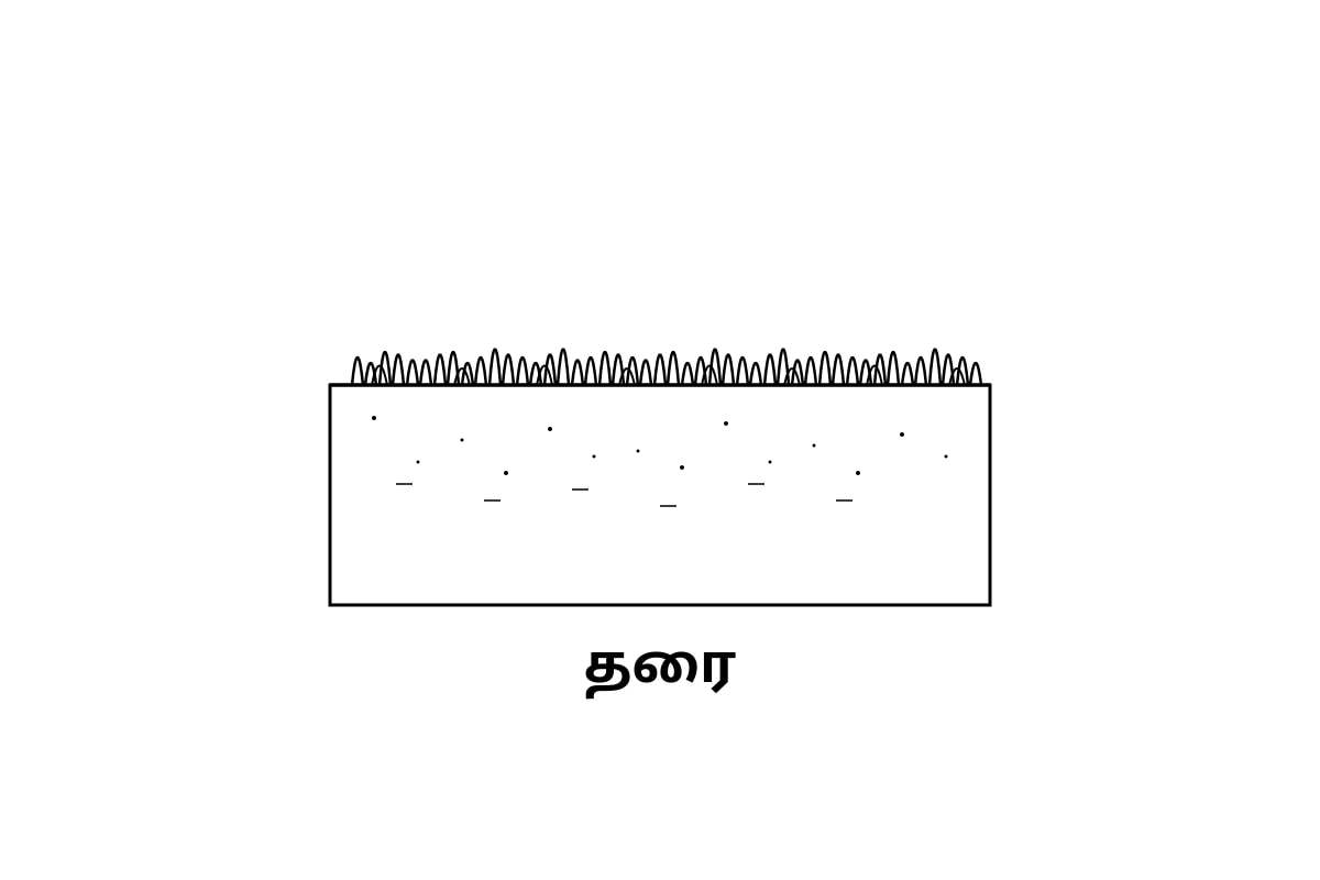 Diagram for Q15 (P1 Tamil)