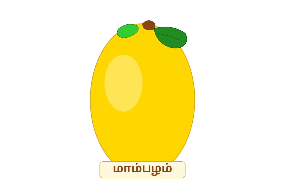 Figure for Q9 (P1 Tamil)