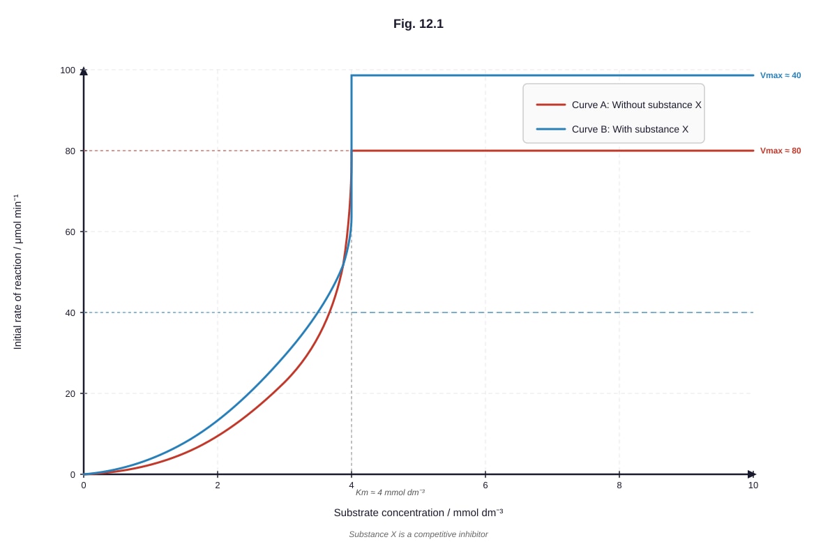 Graph for Q12 (ALEVEL Biology H2)