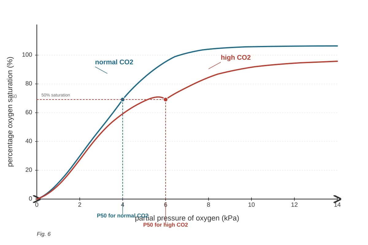 Graph for Q17 (ALEVEL Biology H1)