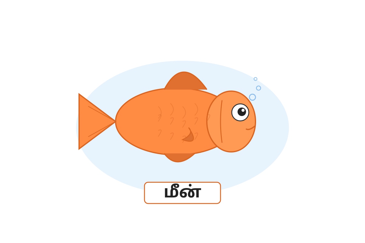 Image for Q6-fig1 type: diagram linked_question: Q6 description: A simple drawing of a fish. labels: மீன் values: None must_show: A fish with fins. (P2 Tamil)