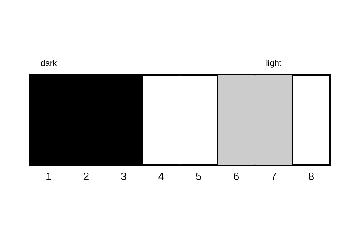 Diagram for Q19 (P4 Maths)
