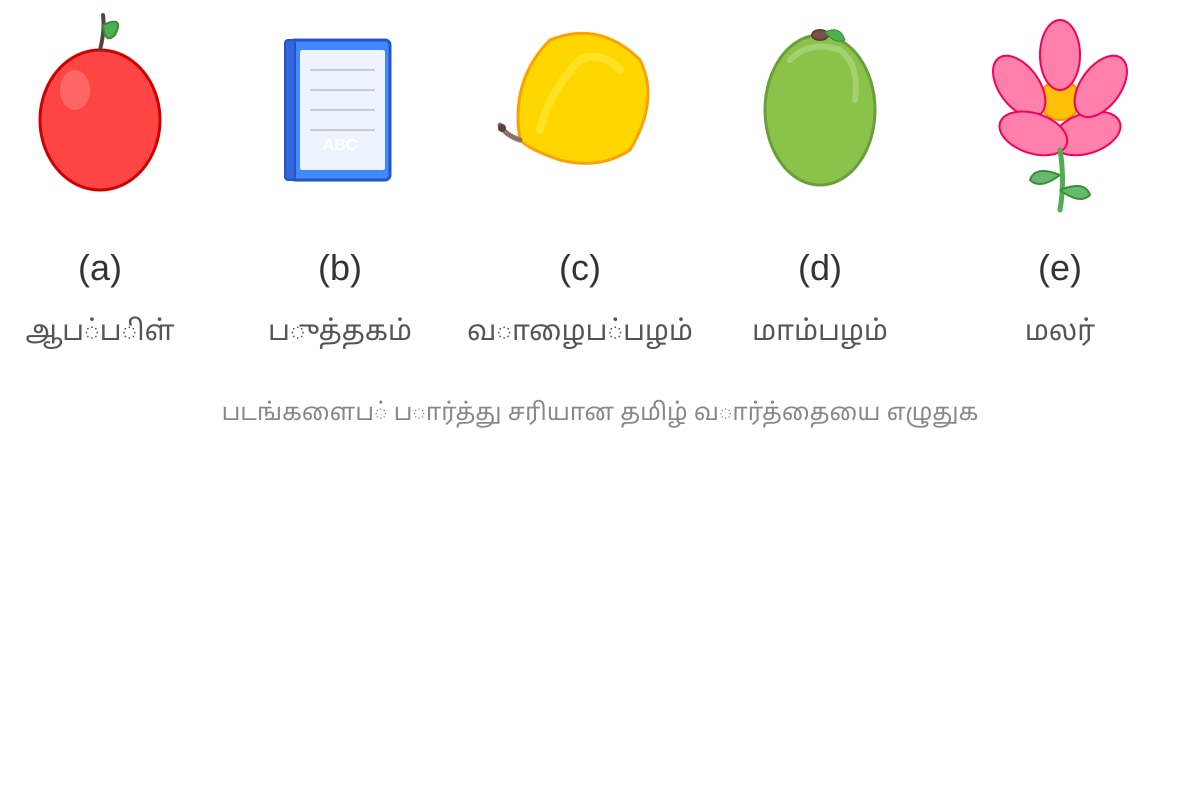 Diagram for Q1-Q5 (P1 Tamil)