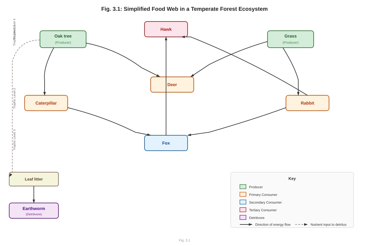 Diagram for Q3 (ALEVEL Biology H2)