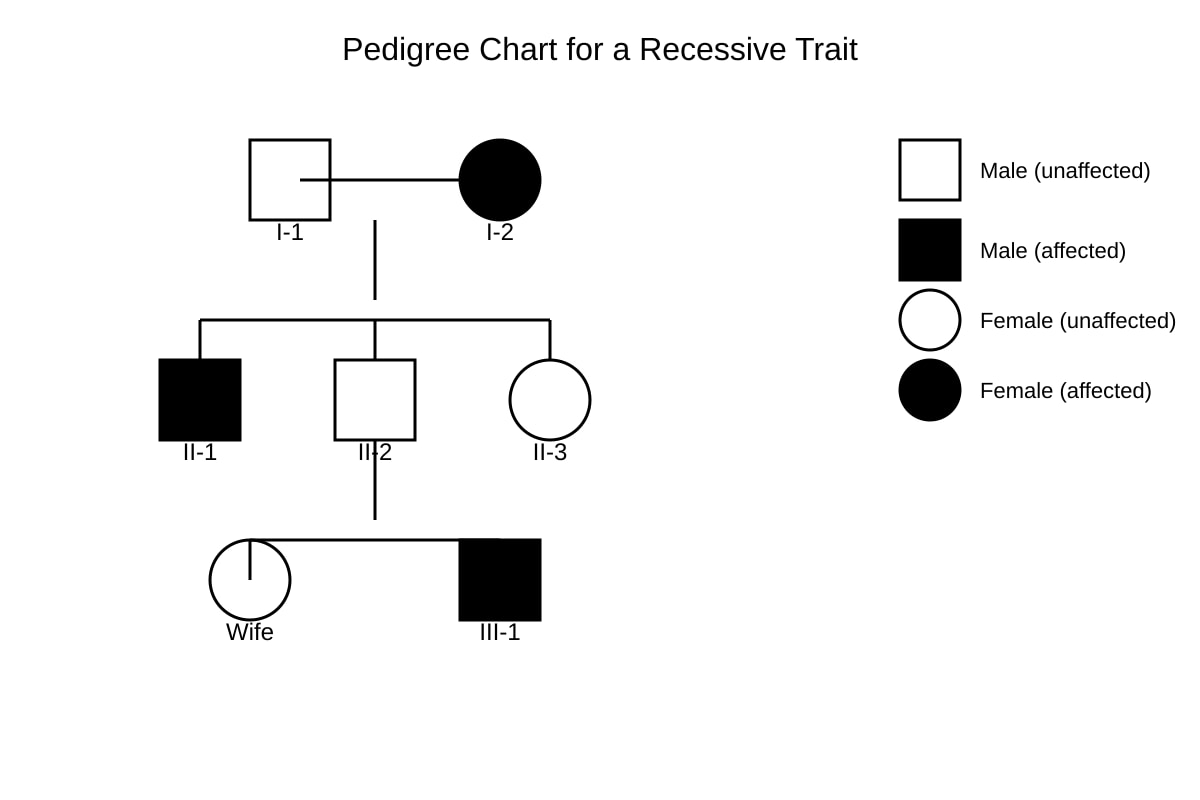 Diagram for Q11 (SEC4 Combined Sci Bio)
