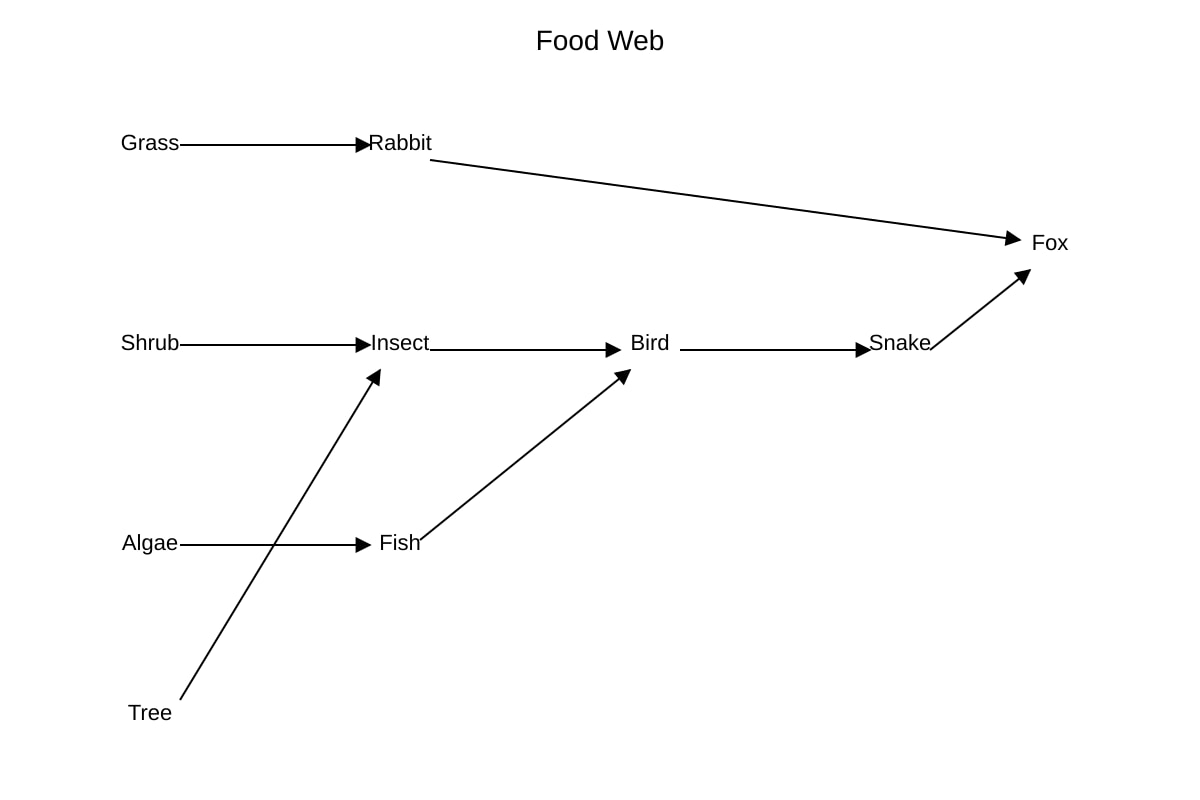 Diagram for 13 (P6 Science)