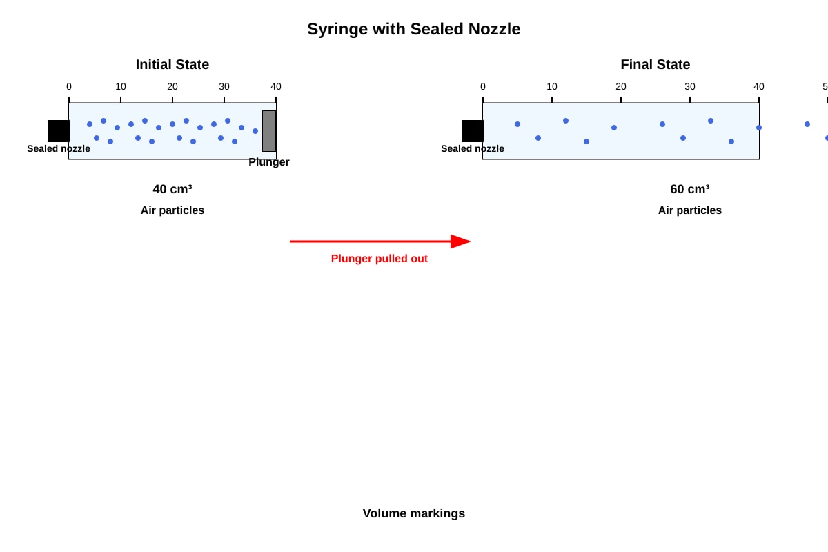 Diagram for Q41 (P5 Science)