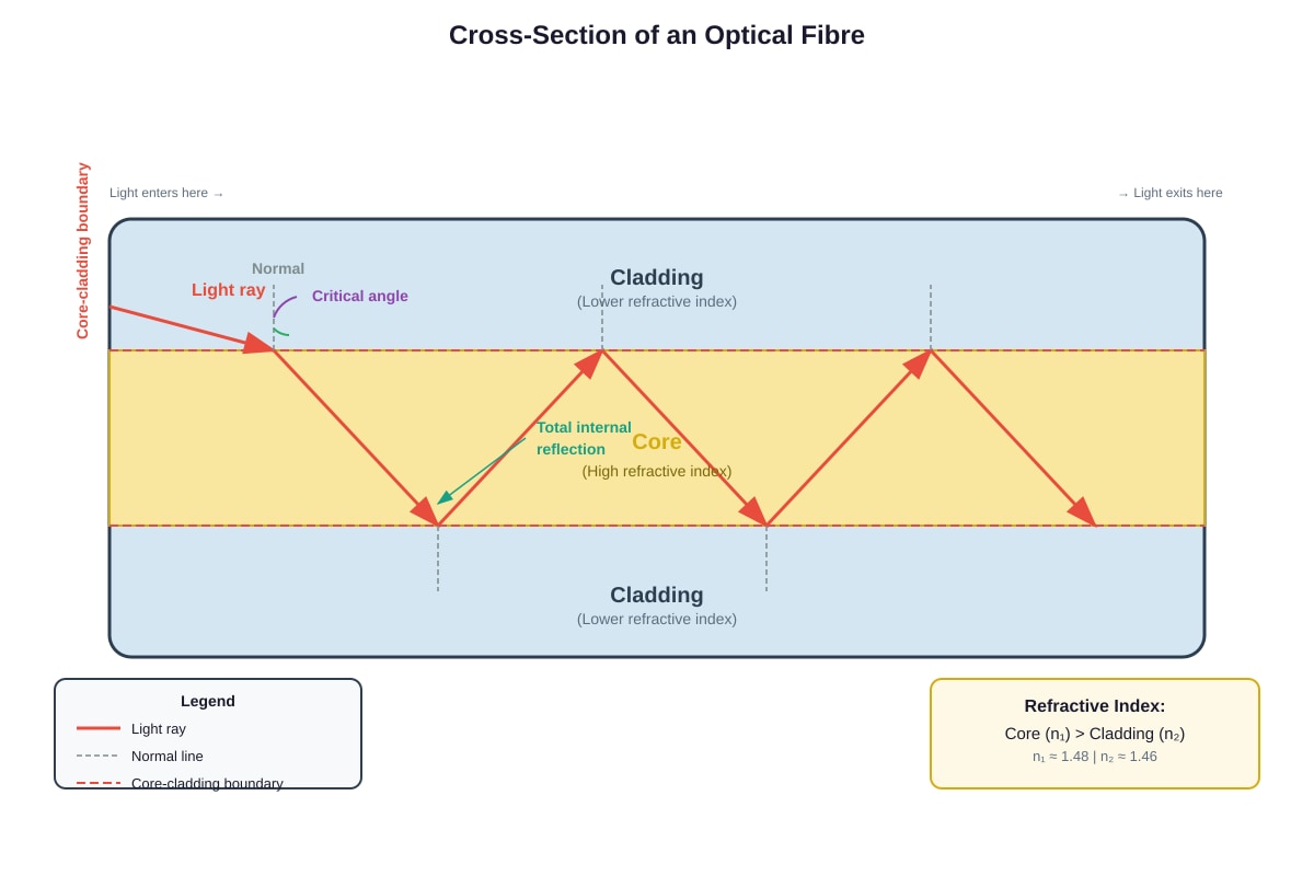 Diagram for Q20 (P5 Science)