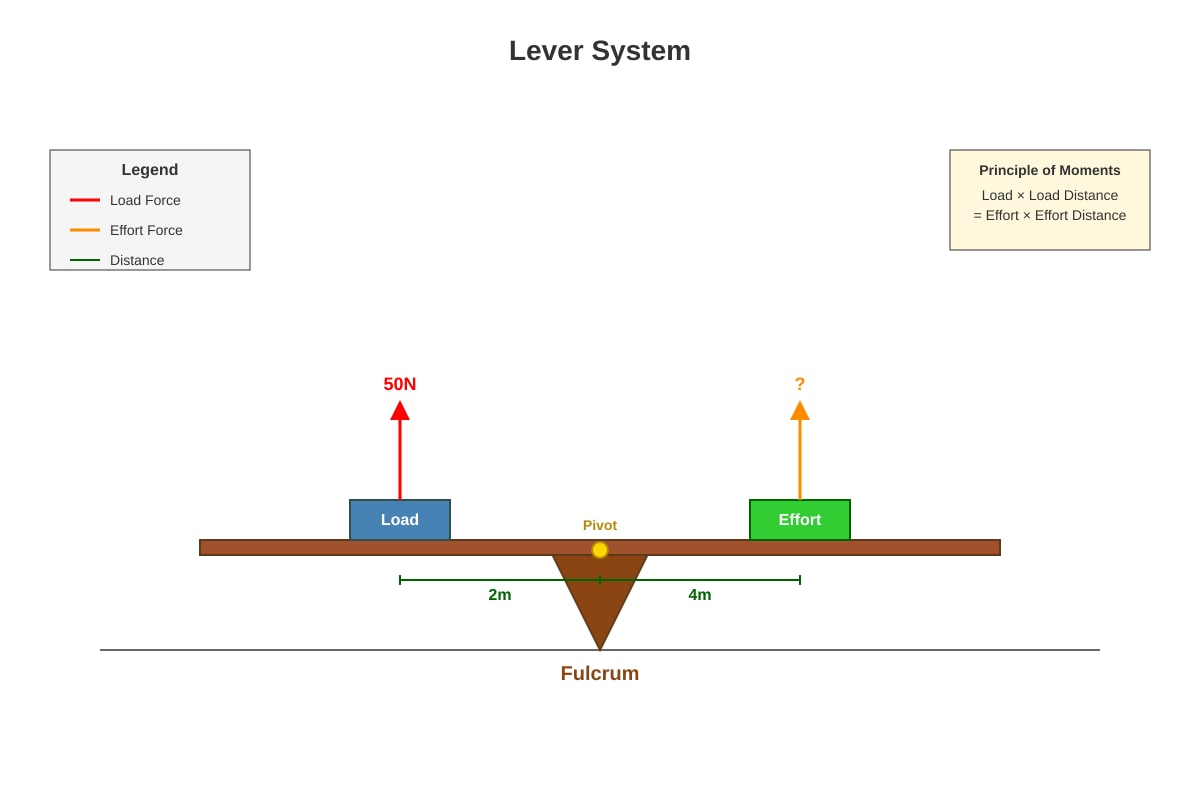 Diagram for Q26 (P6 Science)