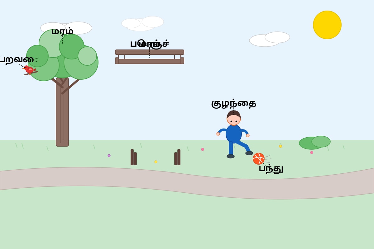Diagram for Q13 (P5 Tamil)