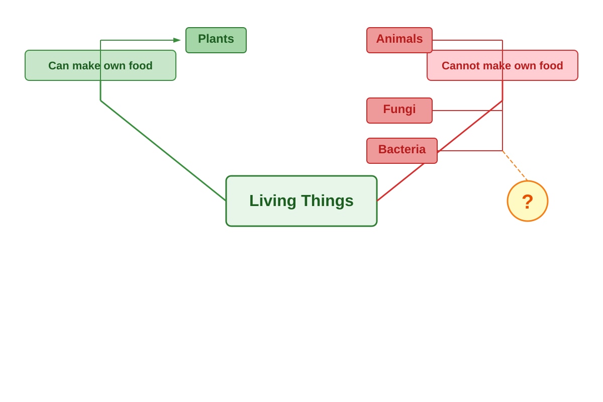 Diagram for Q5 (P3 Science)