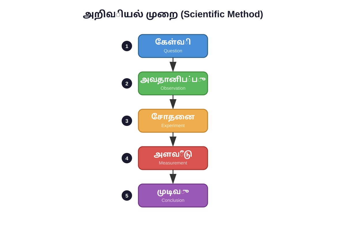 Diagram for Q20 (P5 Higher Tamil)