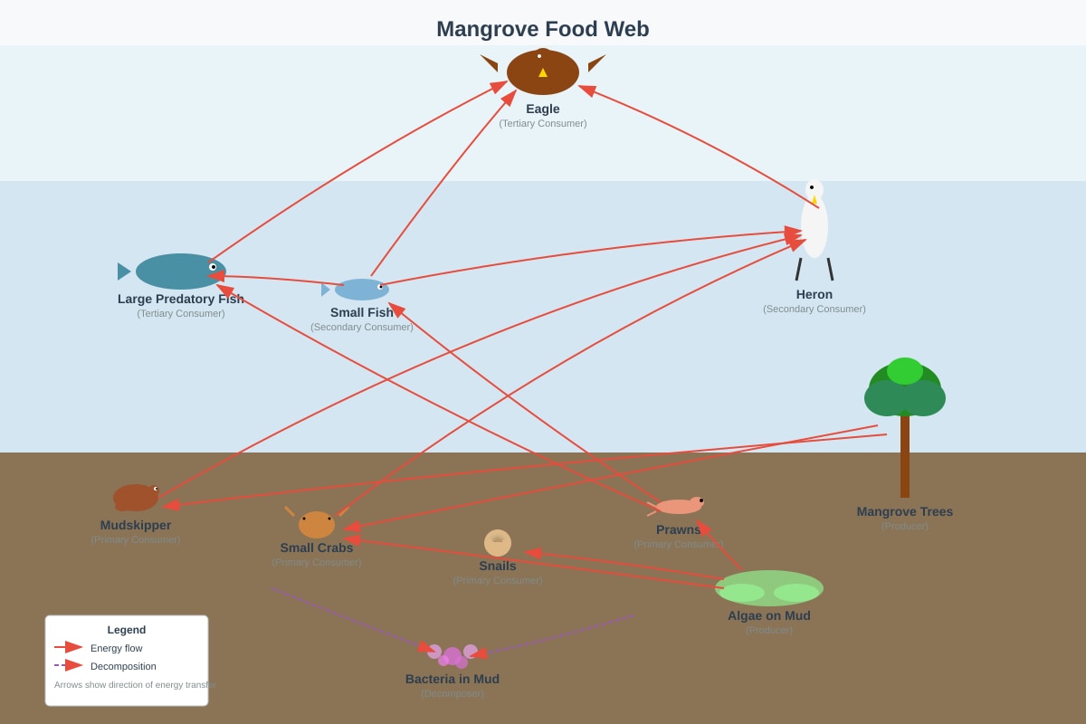 Diagram for Q26 (P6 Science)