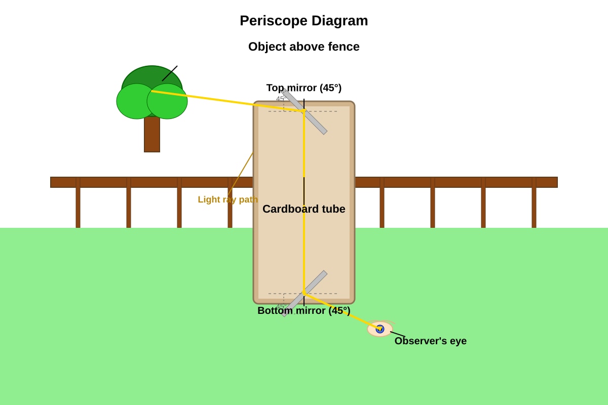 Diagram for Q19 (P5 Science)