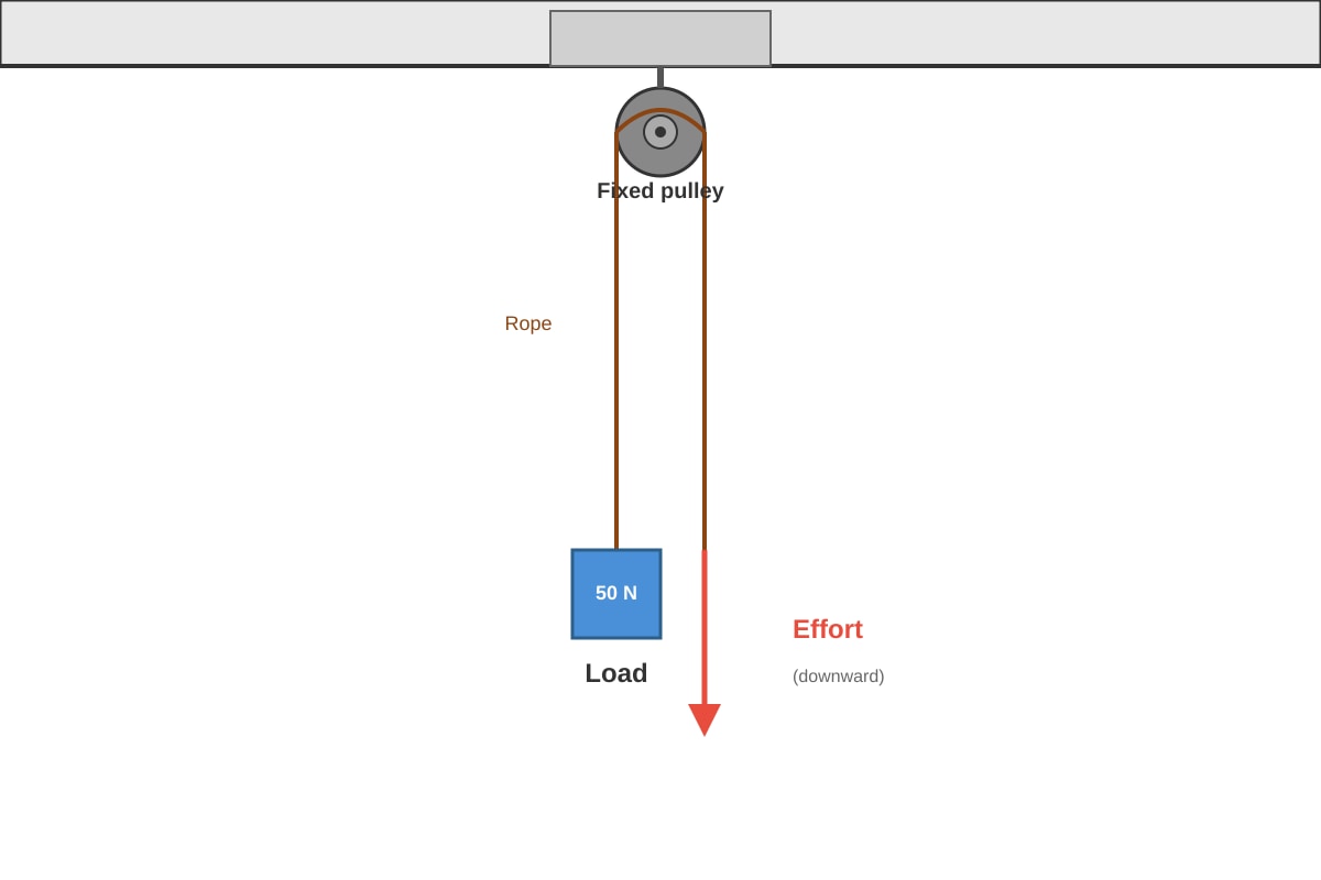 Diagram for Q19 (P6 Science)