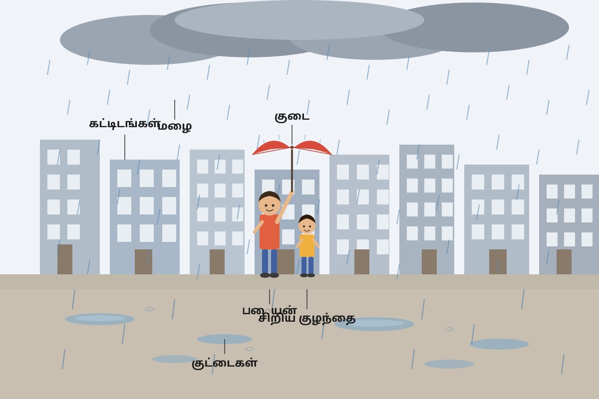 Figure for Q19 (P6 Higher Tamil)
